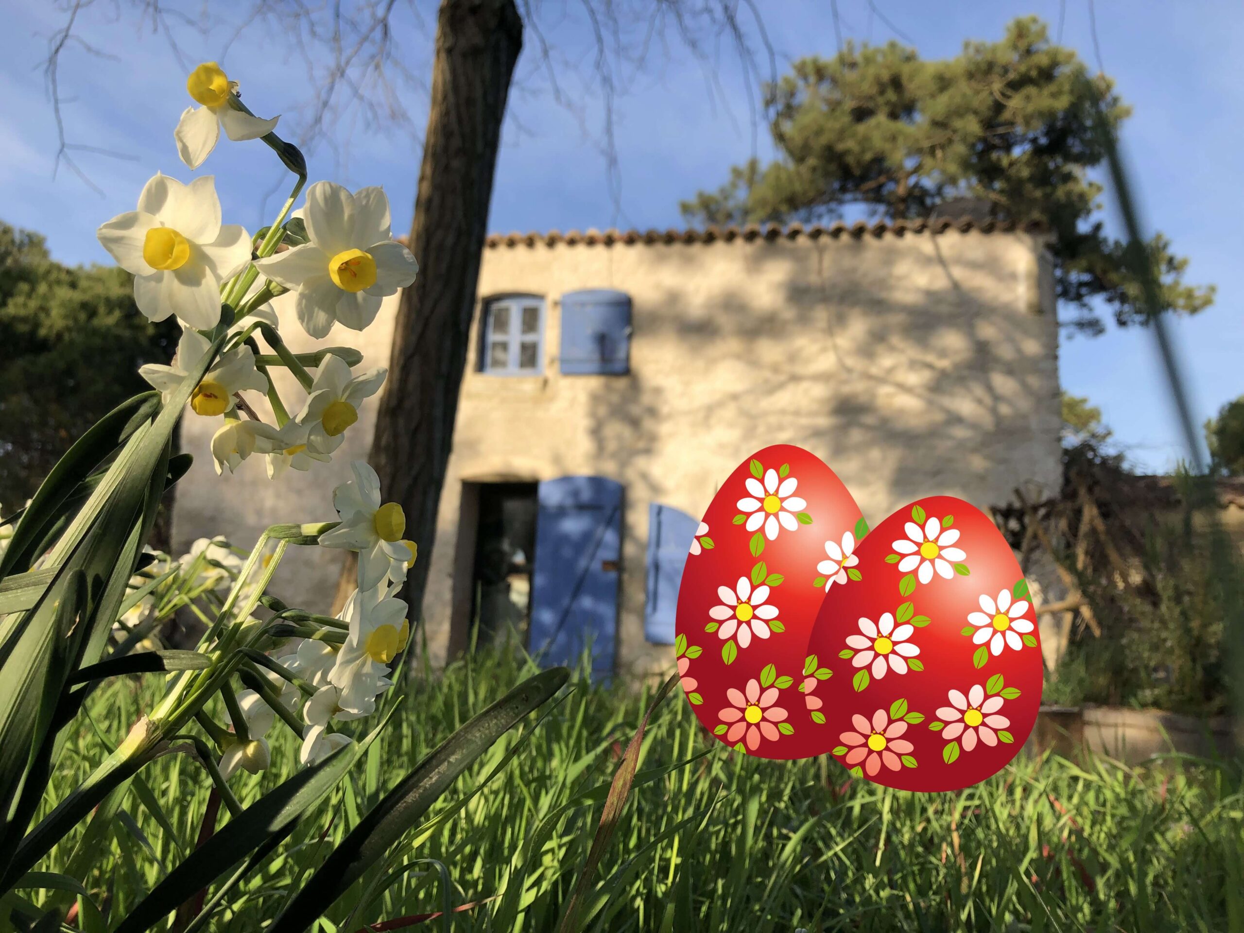 20/04/25 – Chasse aux œufs