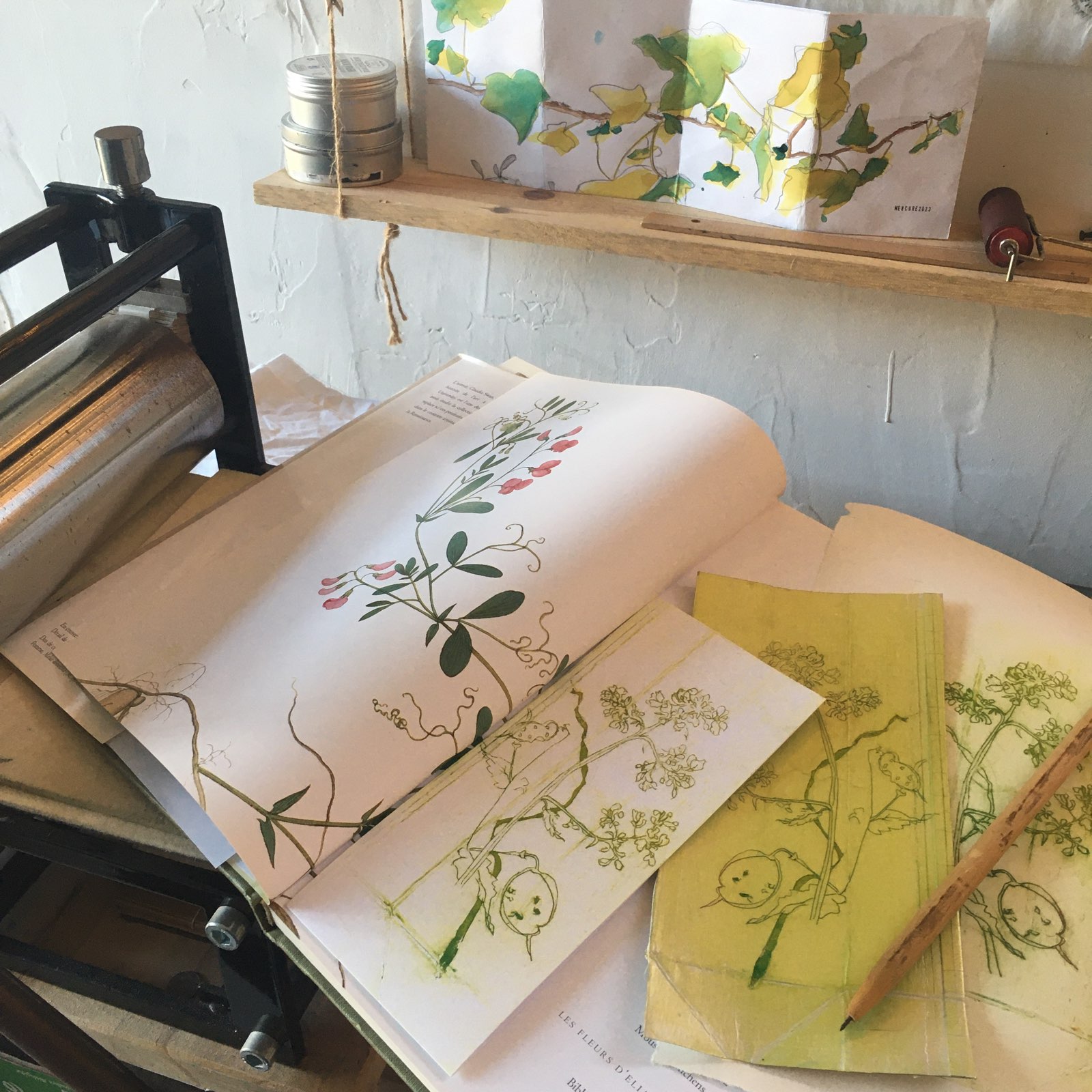 26/04/25 – Journée d’initiation à la gravure et au dessin botanique