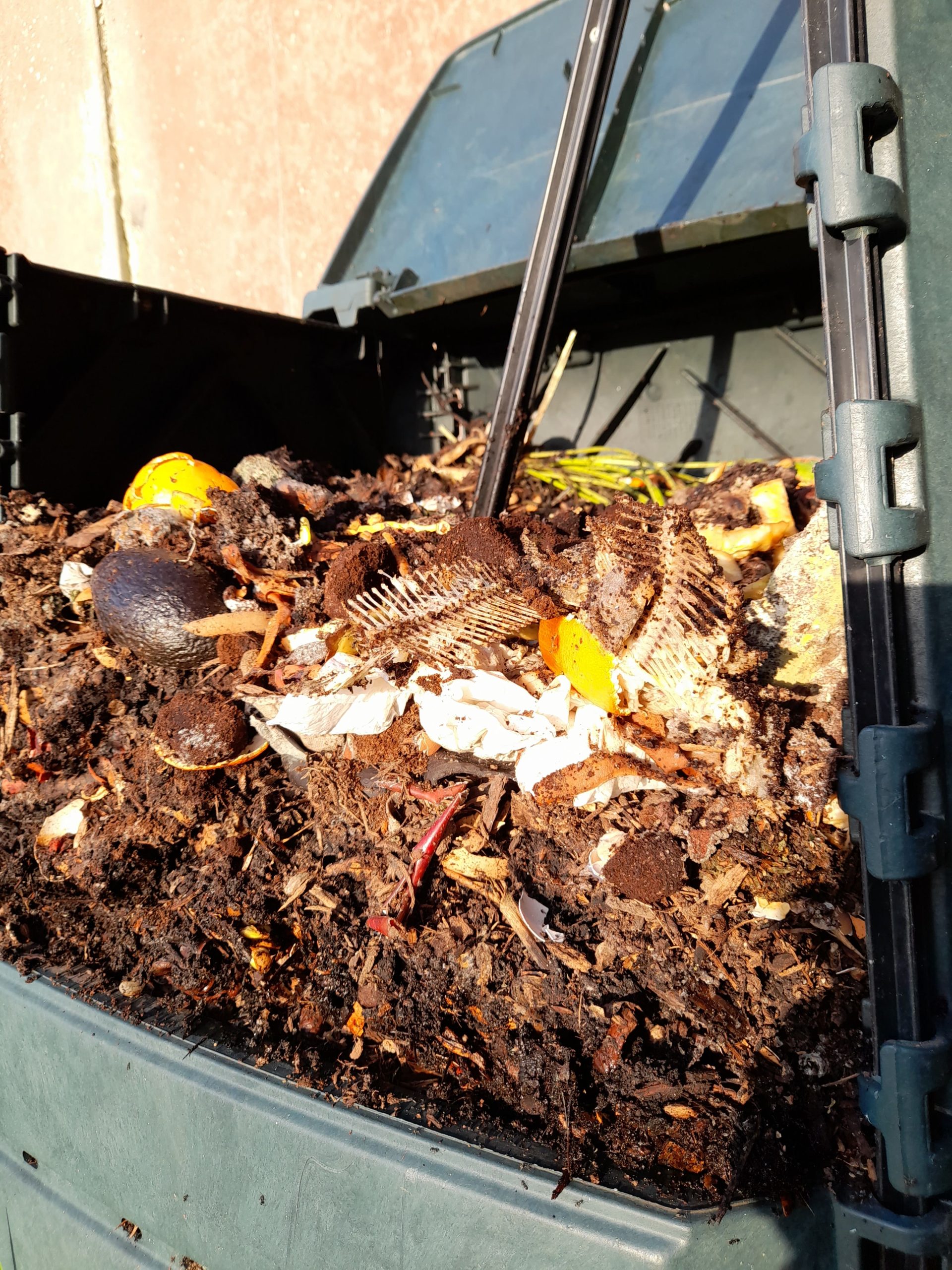 12/04/25 – Atelier « Composter en toute tranquillité »