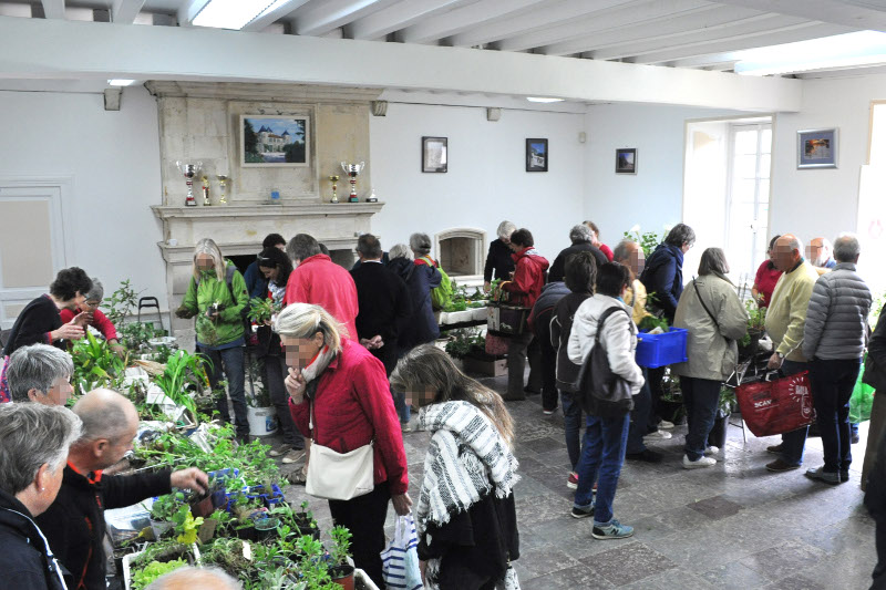 2/11/25 – Bourse aux plantes du GEDAR et entrée gratuite