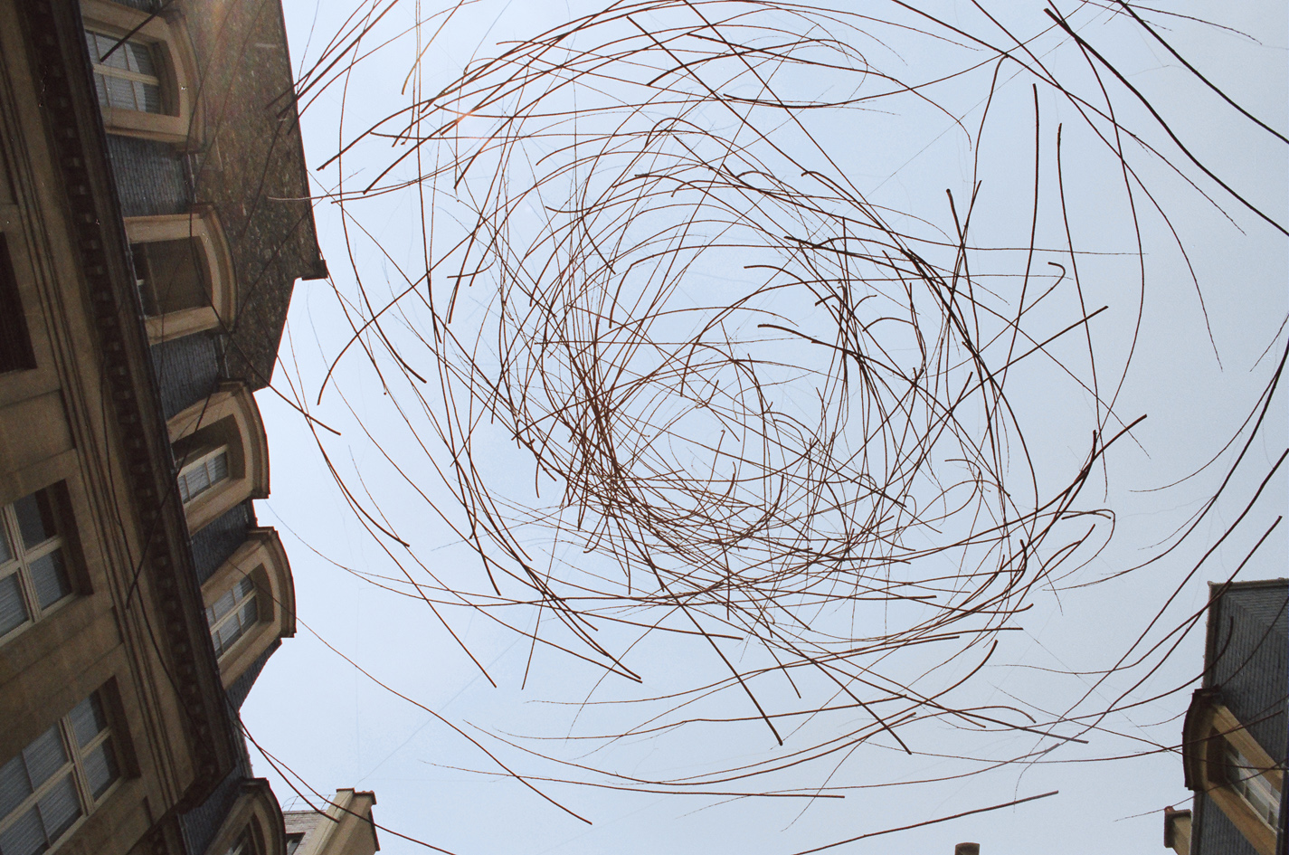 A partir du 4 avril 2026 – « Flux végétal », création artistique par Marie-Hélène Richard